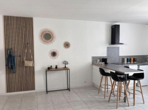 Grand studio 29 m2 refait à neuf en centre-ville
